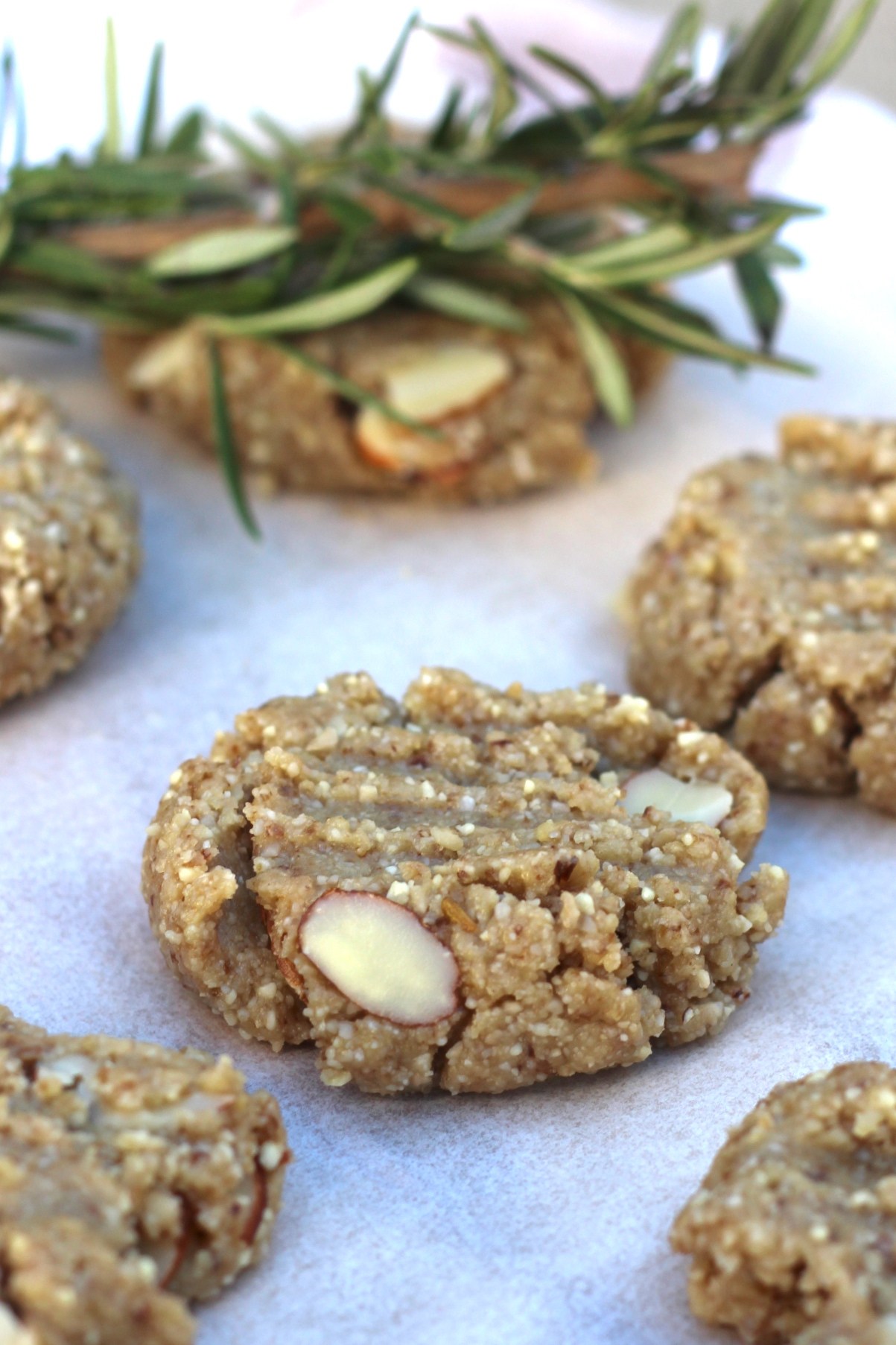 grain free raw anzac biscuits