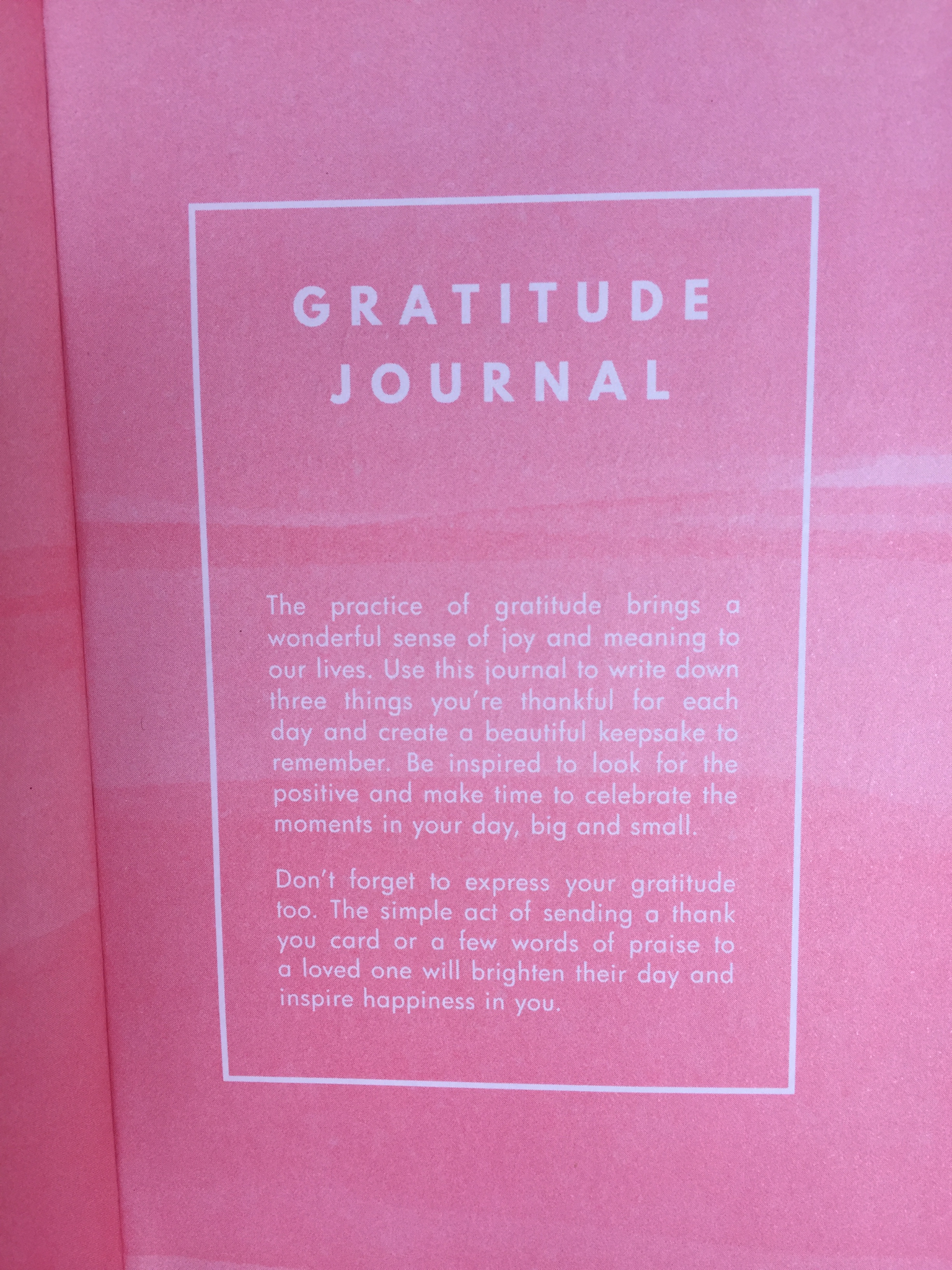 gratitude journal kikki k travellingdietitian
